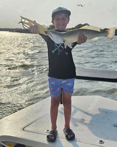 Speckled trout catch displayed on fishing boat in Corpus Christi TX