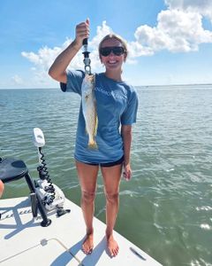 Squeteague fish catch displayed on fishing boat in Corpus Christi TX waters