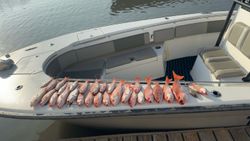 Fishing adventure in TX