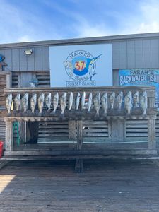 Fishing in Corpus Christi