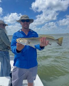 Spotted weakfish, 24 inches, fishing in TX