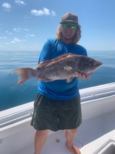 Grouper Fishing Guide, Corpus Christi, TX