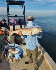 Angler holding a 51-inch fish in Corpus Christi