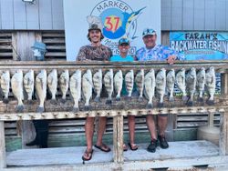 17 large Atlantic Croaker and Black Drum caught in Corpus Christi