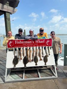 Seven redfish caught in Corpus Christi