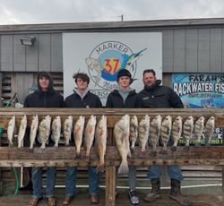 A group of 13 black drum and redfish caught during a fishing trip in TX
