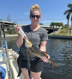 Snook Catch in Punta Gorda Fishing