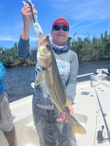 Thrilling Snook Catches in Punta Gorda