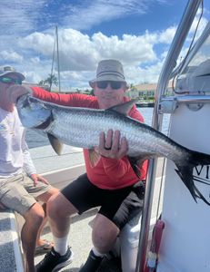 Tarpon Fishing In Florida