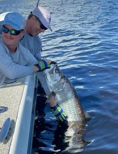 Tarpon in Punta Gorda, FL