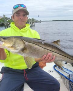 Finest Snook In Punta Gorda 