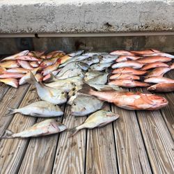 Charlotte Harbor, FL Best Snapper Fishing Trip