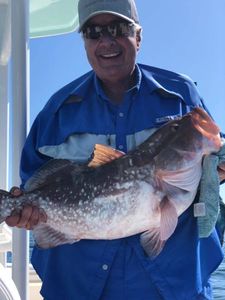 Good Times Today Reeling Some Groupers