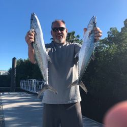 Nice King Mackerel in Florida