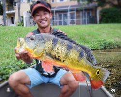 Angler with big fish in Miami