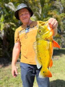 Angler with big fish in FL