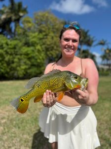 A lone angler fishing in FL