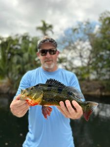 Angler fishing in Miami
