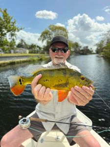 One person fishing in Miami