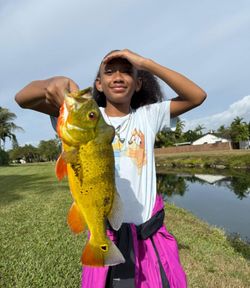 Angler fishing in Miami, Florida