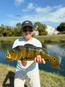 A person fishing with a rod in Miami