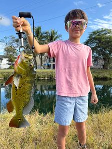 Angler with a fishing rod in FL
