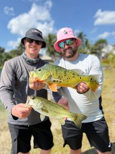 Two Florida bass, 18 inches long, caught fishing in FL