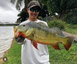 No crowds, just fish and calm water