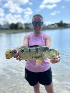 Angler with a big fish in FL