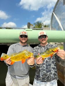 2 people fishing in Miami