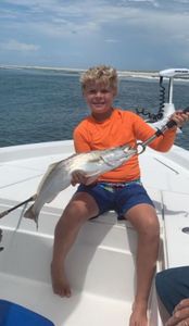 Inshore Fishing Dauphin Island