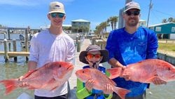 Red Snapper in Gulf Shores