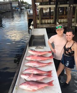 Snapper Fishing