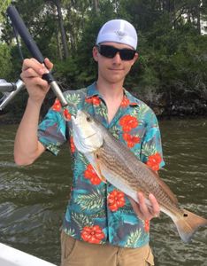 Redfish in Dauphin Island AL