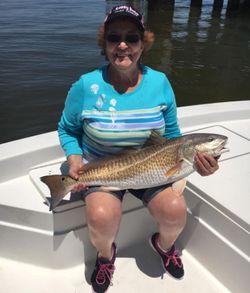 Redfish in Gulf Shores