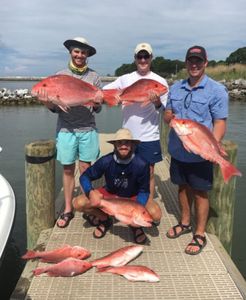 5 fishing in gulf shores