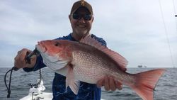 A single angler fishing in AL