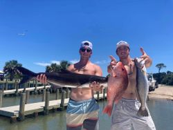Three spotted weakfish in Gulf Shores