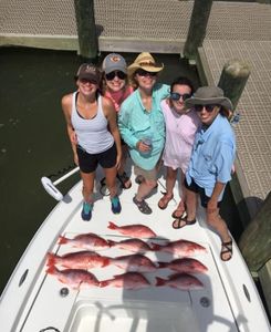 4 Gulf Shores fishing catch