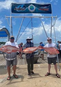 Red snapper fishing catch displayed on dock in Gulf Shores AL