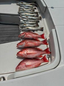 Fresh caught red snapper and speckled trout displayed on boat deck in Gulf Shores Alabama