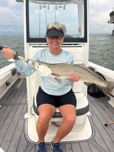 Speckled trout catch on fishing boat in Gulf Shores AL