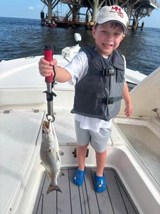 Speckled trout caught fishing in Gulf Shores AL on boat