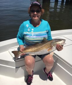 Redfish caught in Gulf Shores
