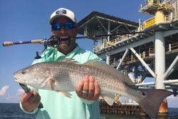 Redfish caught in Gulf Shores