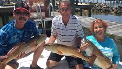 Three redfish caught fishing in Gulf Shores