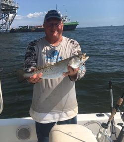 Spotted Weakfish caught in Gulf Shores