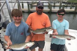 3 spotted weakfish caught by 3 people in Gulf Shores