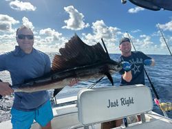 Amazing Sailfish on display!!#FortLauderdale