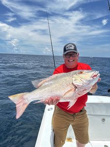 Awesome catch!